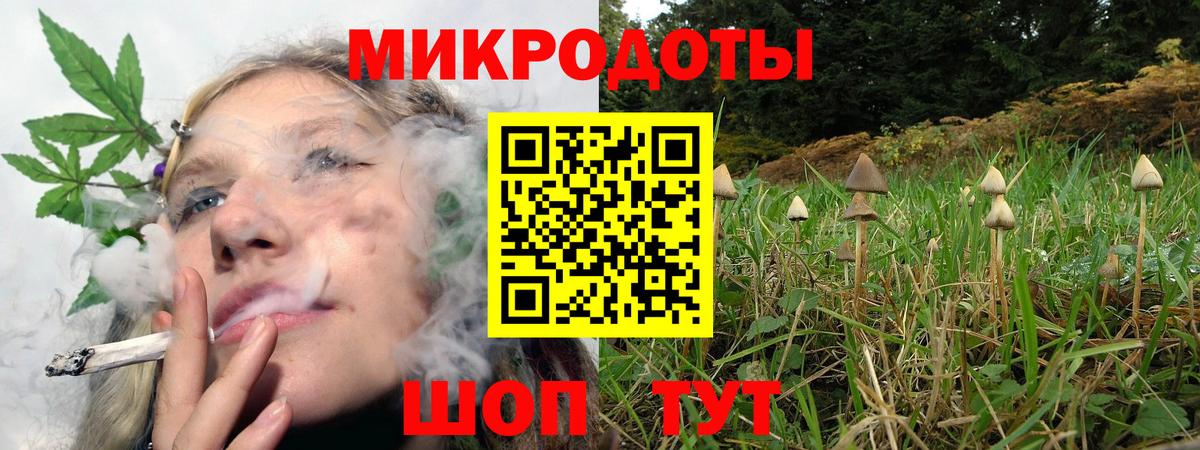 Псилоцибиновые грибы Psilocybine cubensis  Вход с VPN  Тихвин 